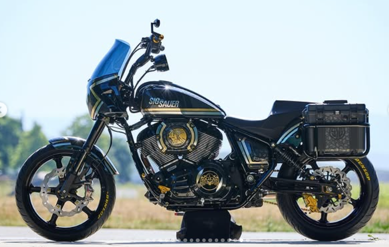 HARTLUCK SIGNATURE SPORT CHIEF SWINGARM